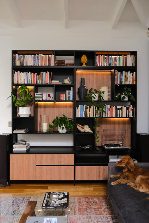 Biblioteca Modular
