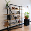 Continua Shelf
