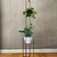 Pedestal Doble para Plantas, soporte de diseño minimalista en metal.
