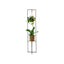 Pedestal Doble para Plantas, soporte de diseño minimalista en metal.